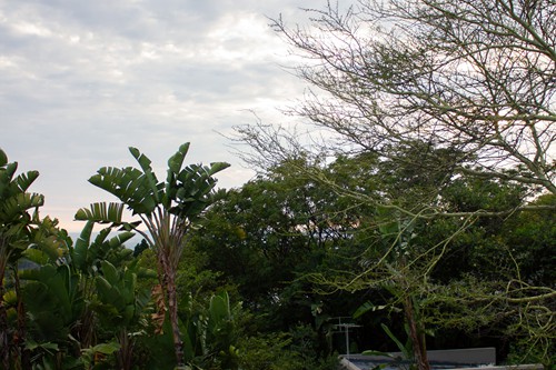 Koru Guesthouse 2020 (42)